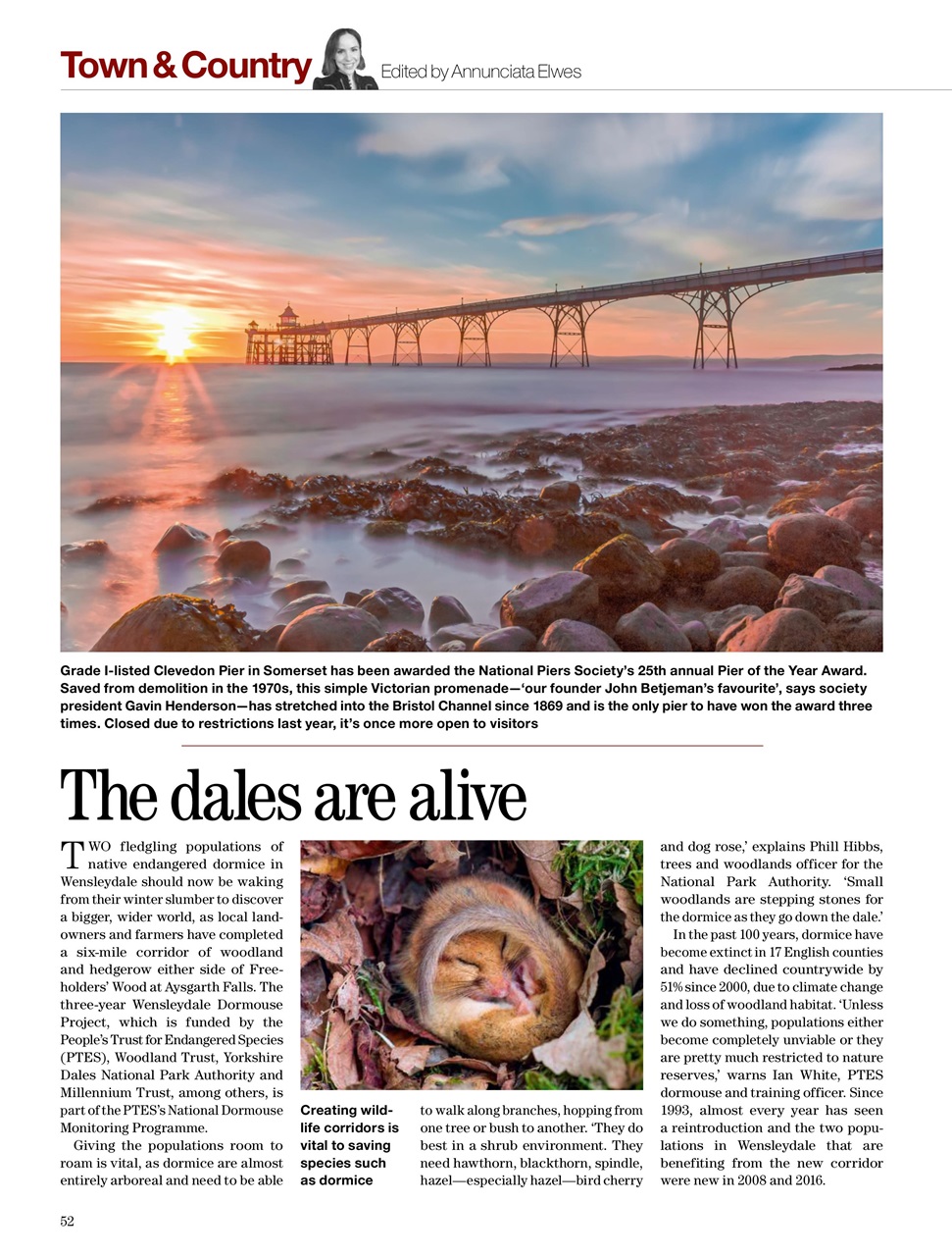 Country Life Preview Pages