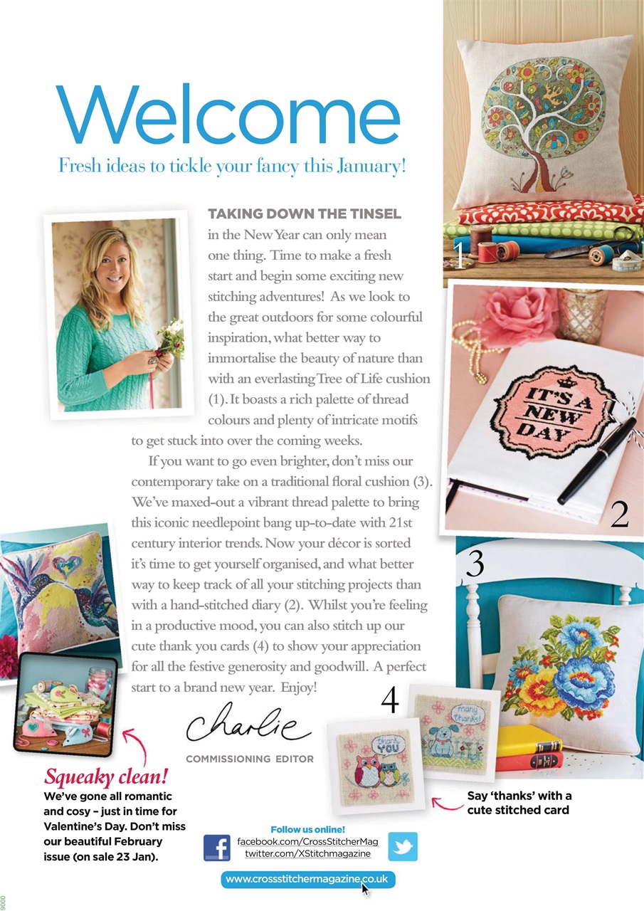 CrossStitcher Preview Pages