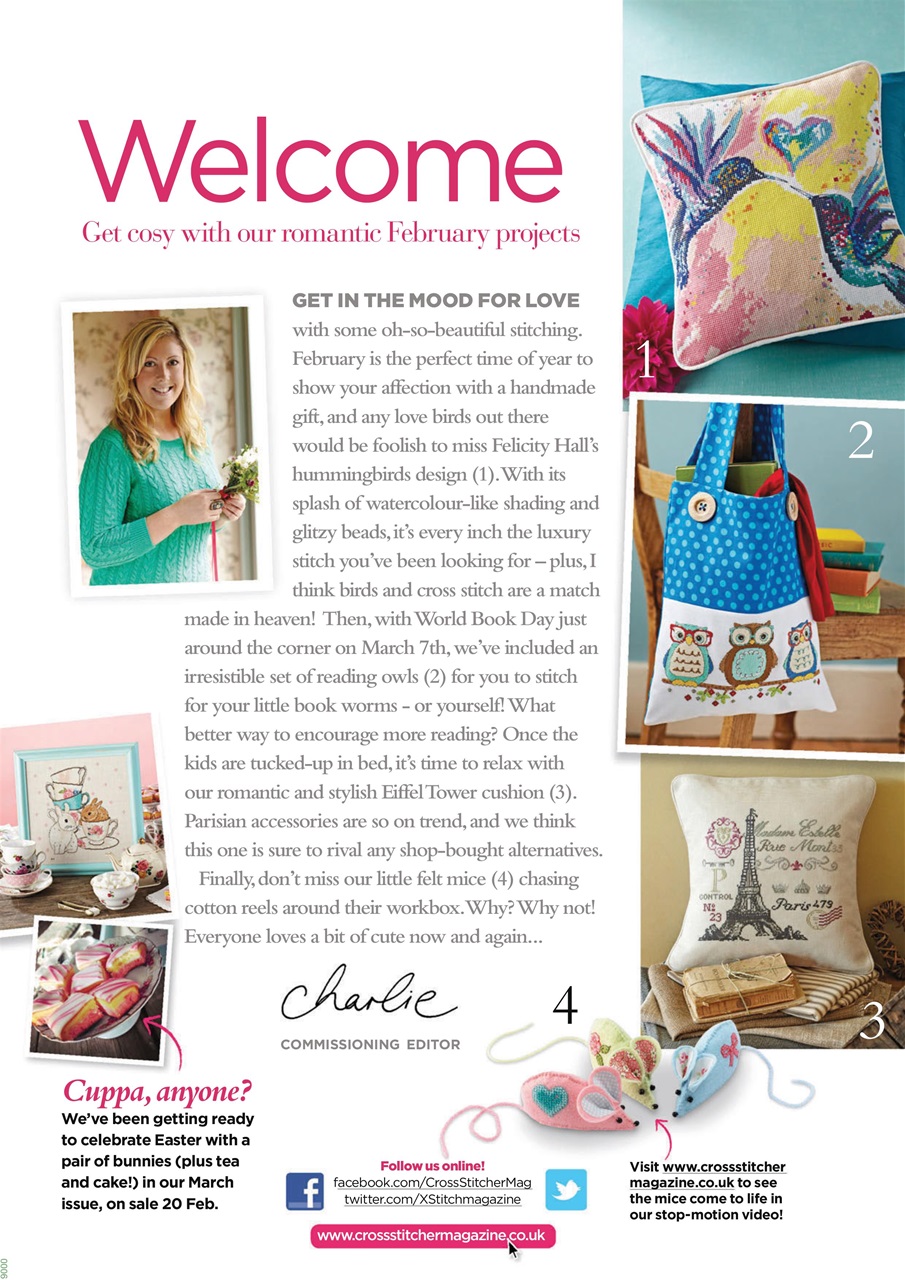 CrossStitcher Preview Pages