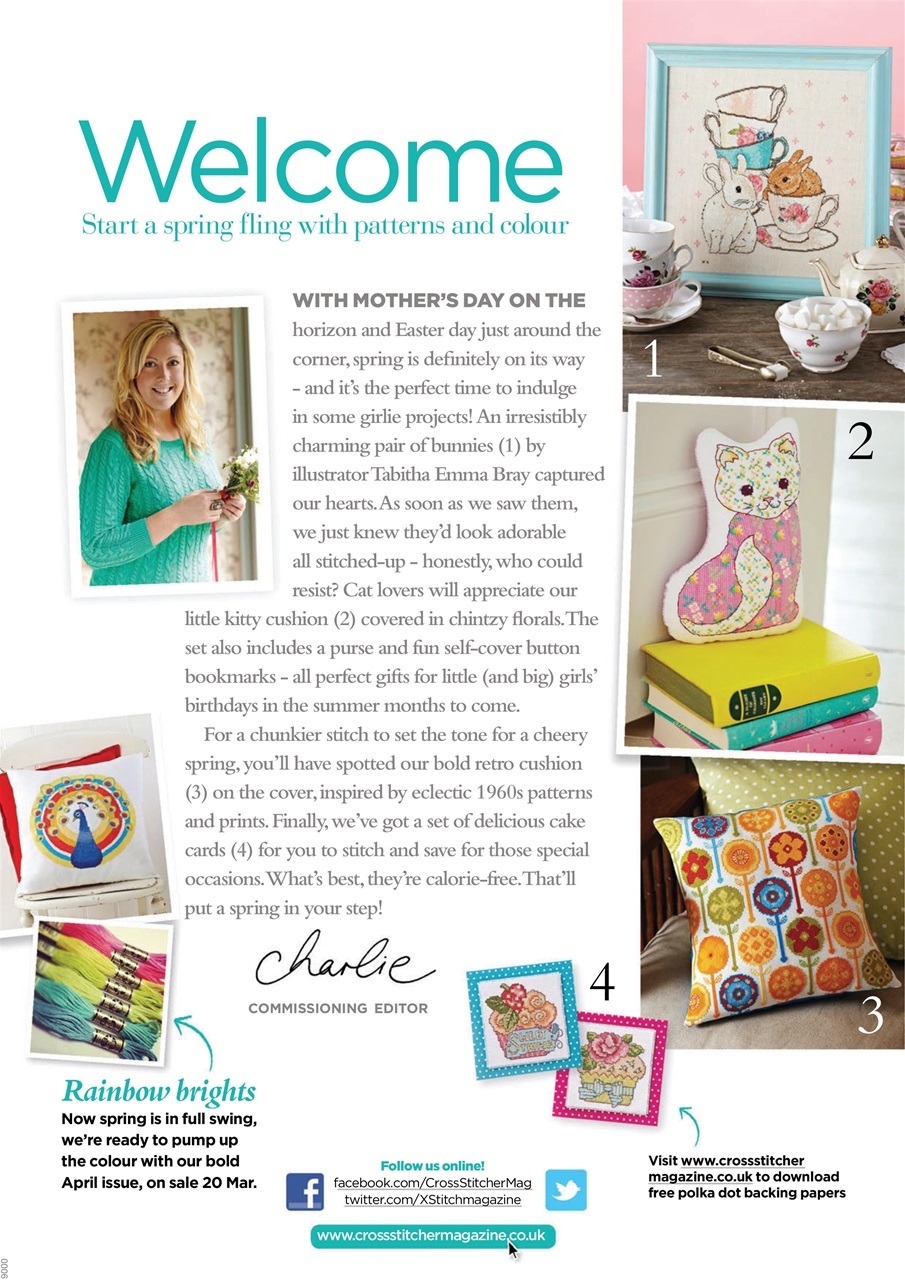 CrossStitcher Preview Pages