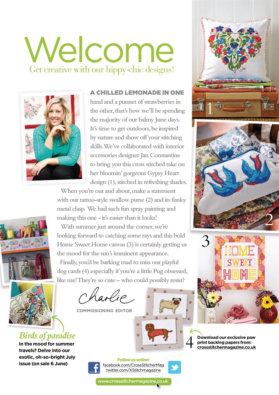 CrossStitcher Preview Pages
