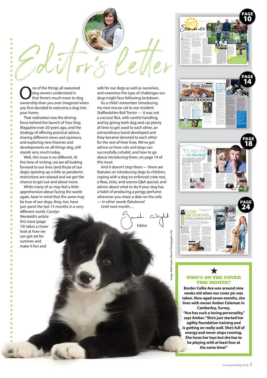 Your Dog Preview Pages