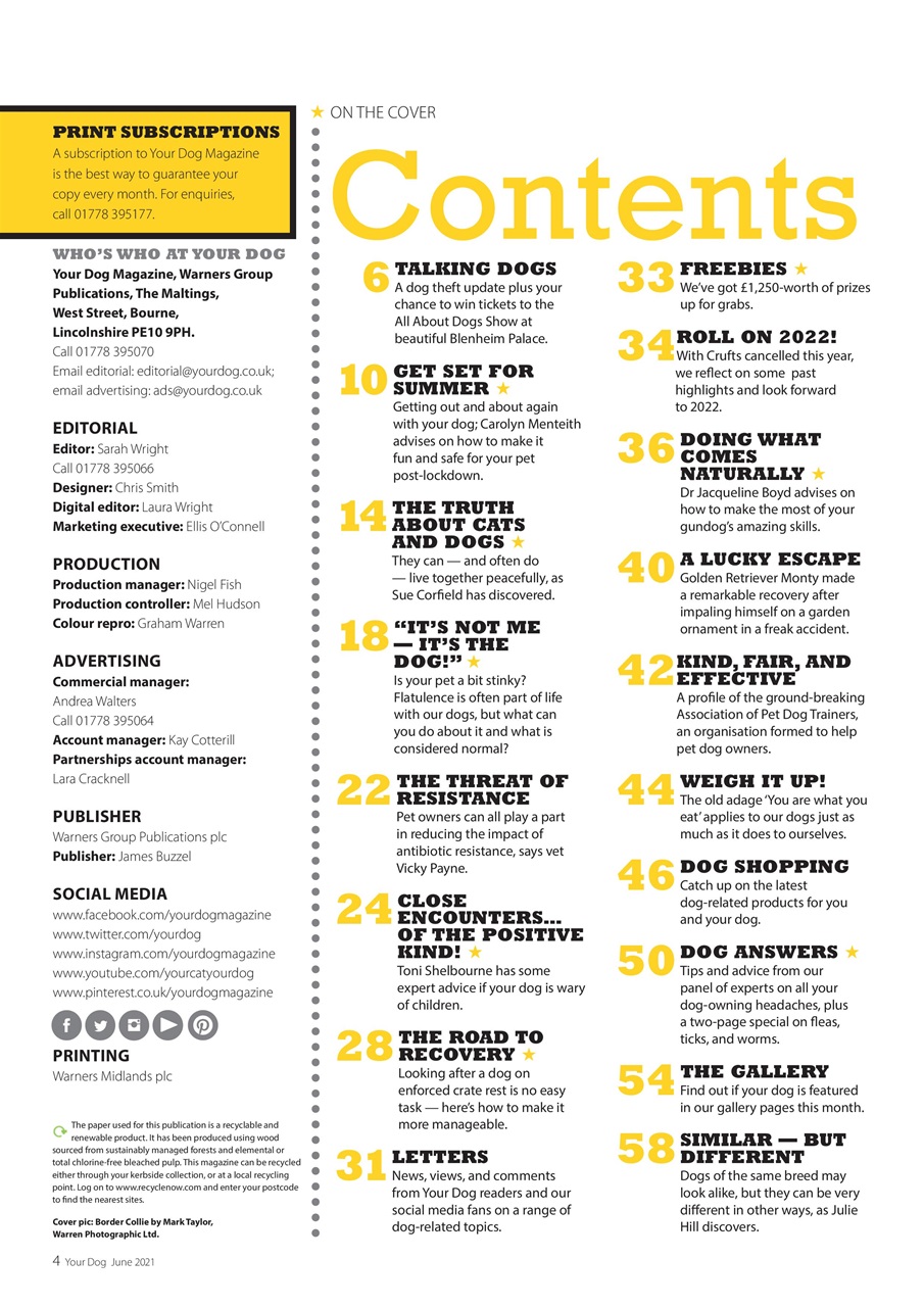 Your Dog Preview Pages