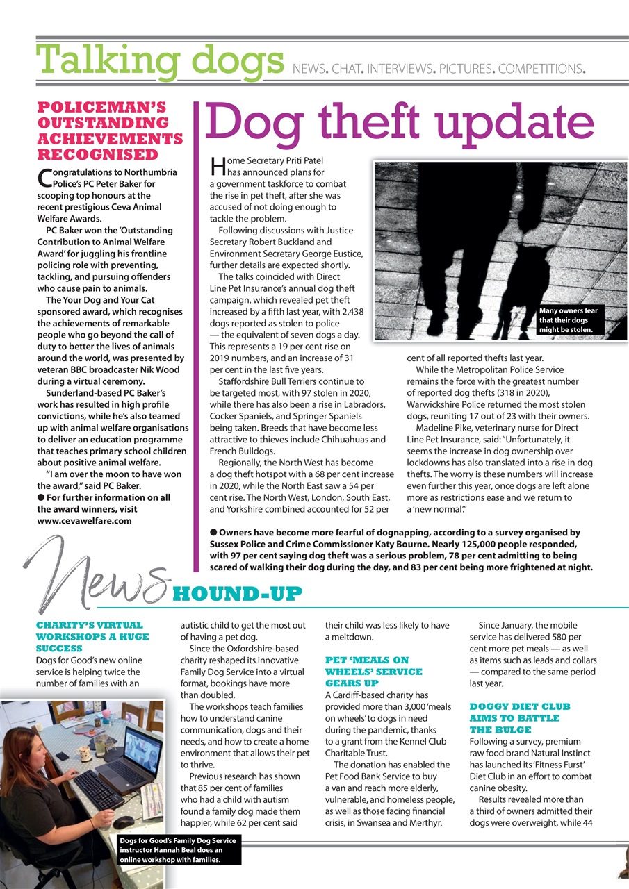 Your Dog Preview Pages