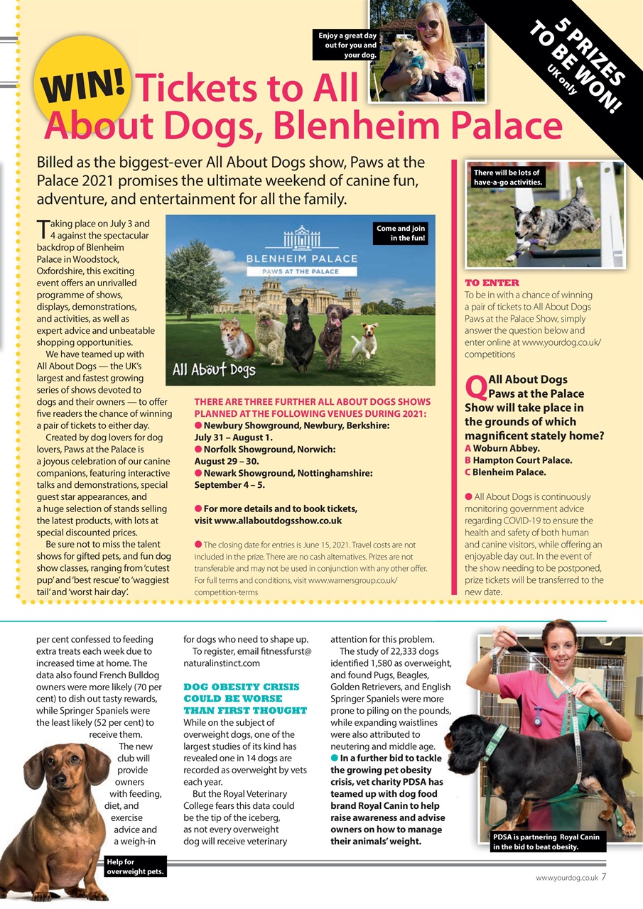 Your Dog Preview Pages