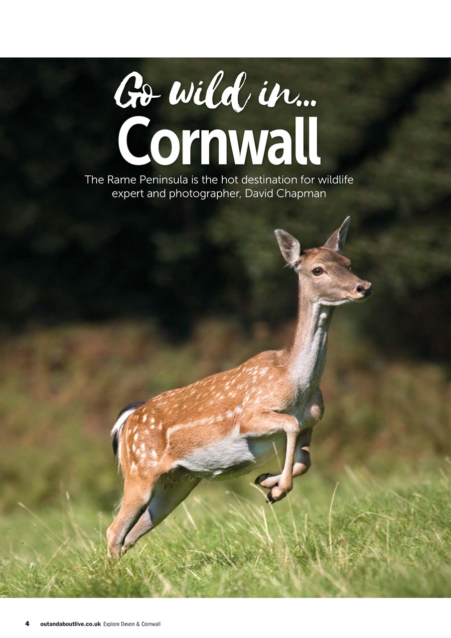 Caravan Magazine Preview Pages