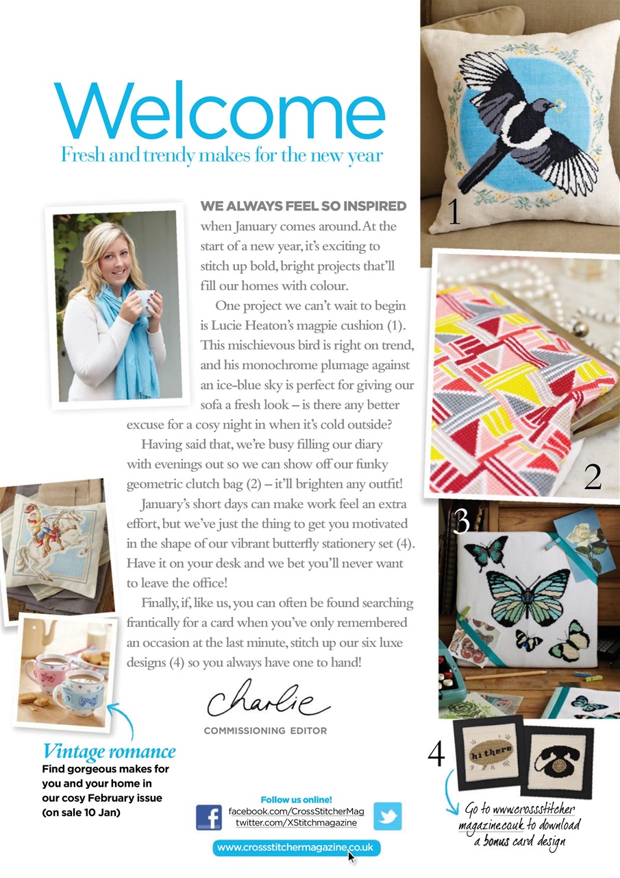 CrossStitcher Preview Pages