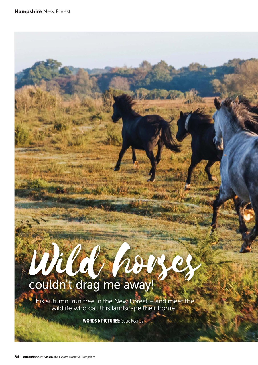 MMM magazine Preview Pages