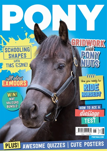 Pony Magazine issue 