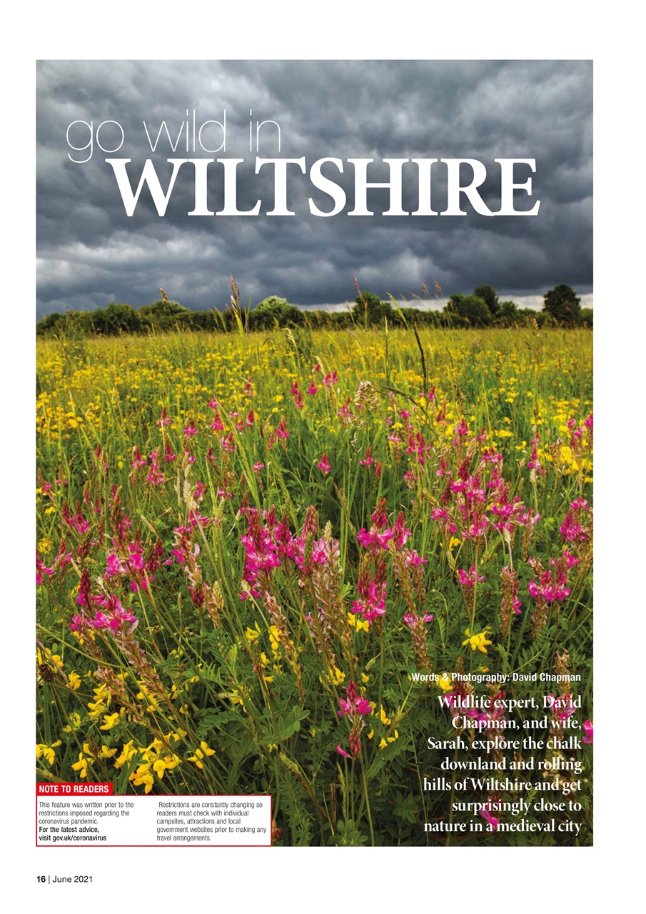 Caravan Magazine Preview Pages