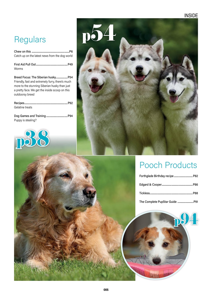 Edition Dog Preview Pages