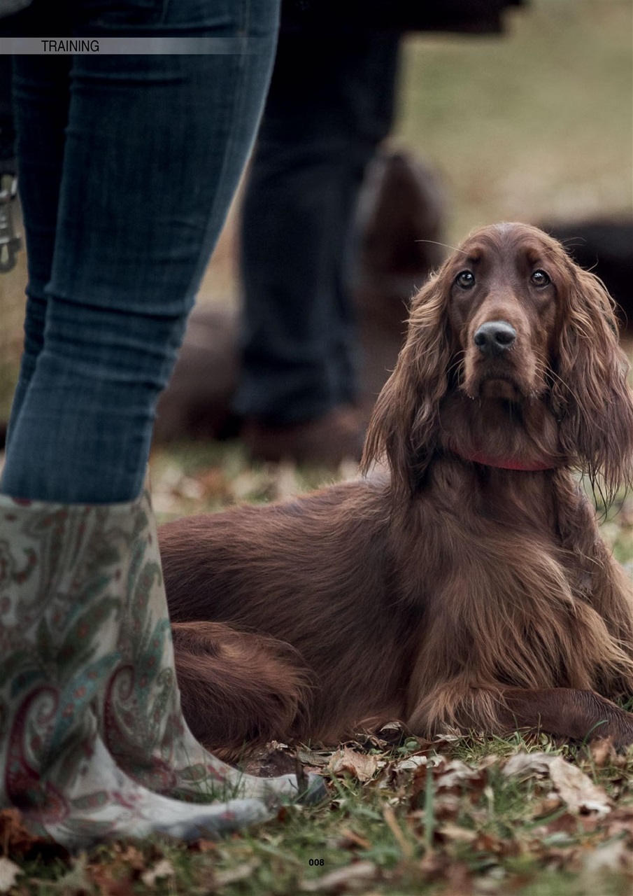 Edition Dog Preview Pages