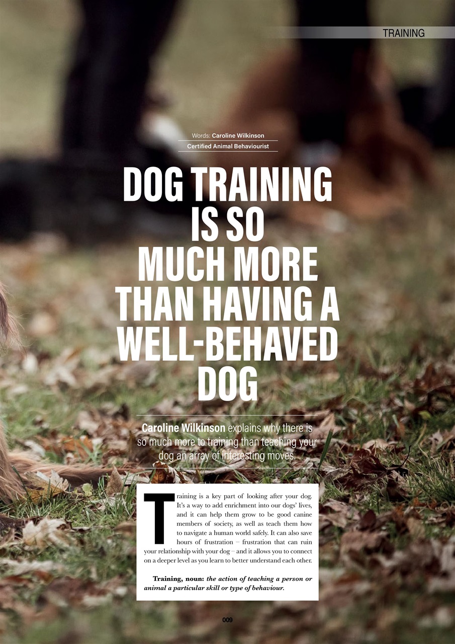 Edition Dog Preview Pages