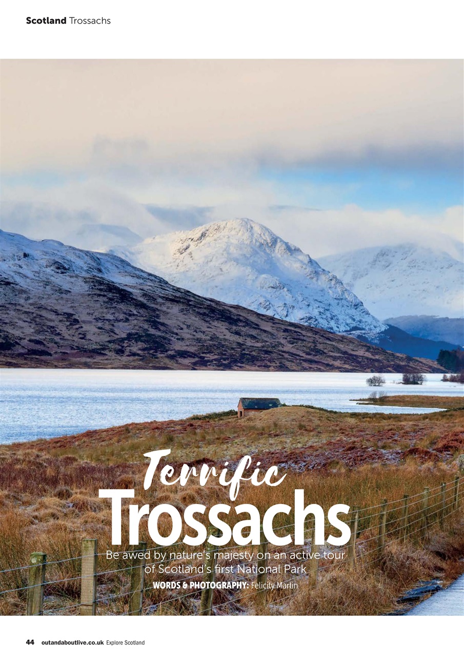 Camping Preview Pages