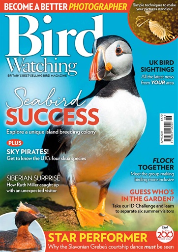 Bird Watching issue 