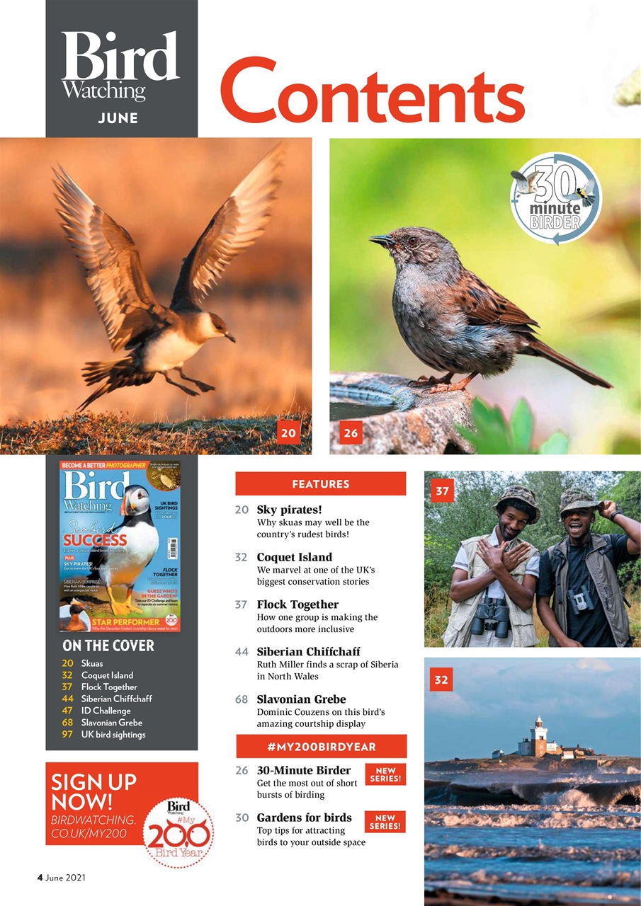 Bird Watching Preview Pages