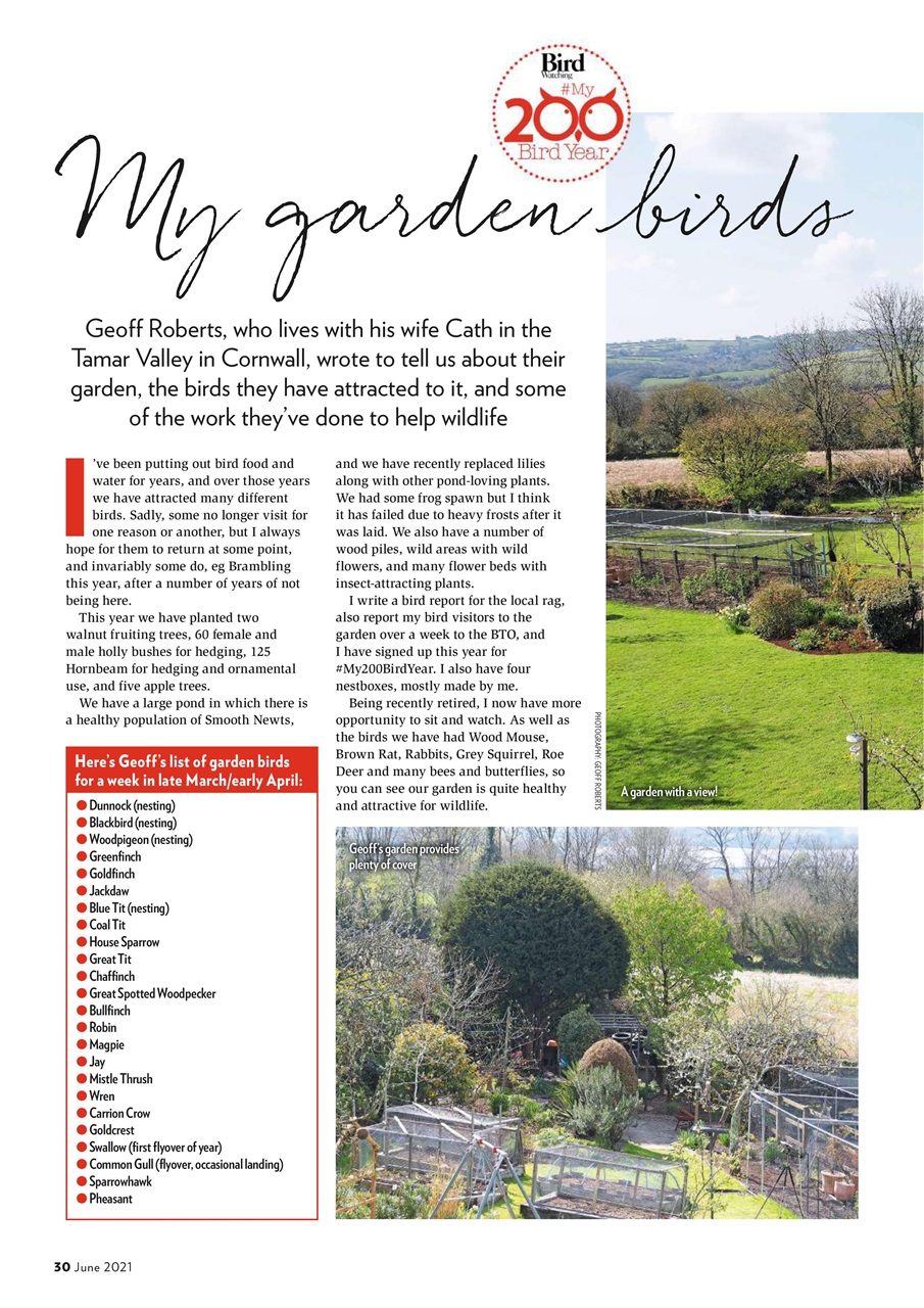Bird Watching Preview Pages