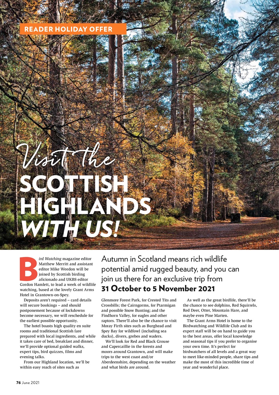 Bird Watching Preview Pages