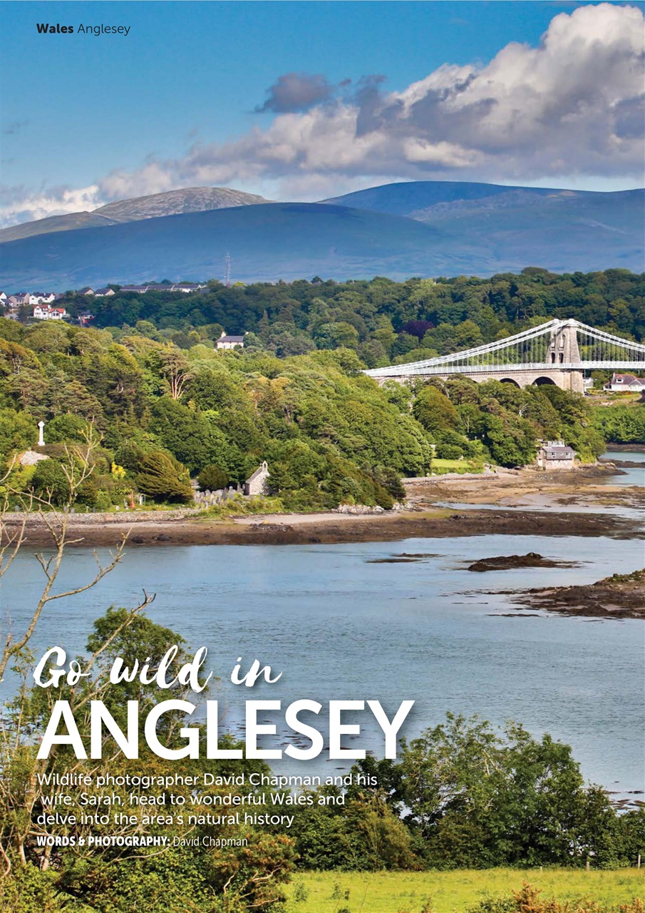 Caravan Magazine Preview Pages