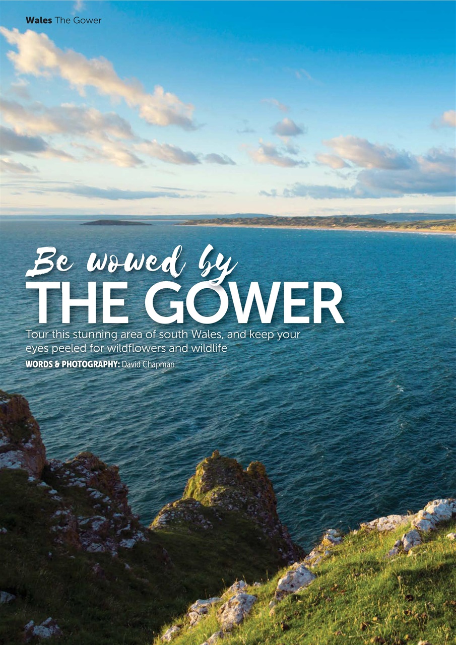 MMM magazine Preview Pages