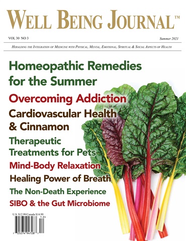 Well Being Journal issue Summer 2021