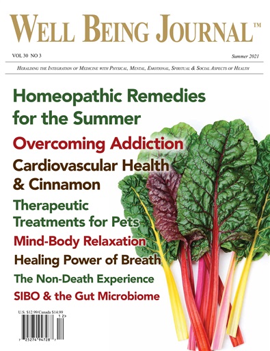 Well Being Journal issue 
