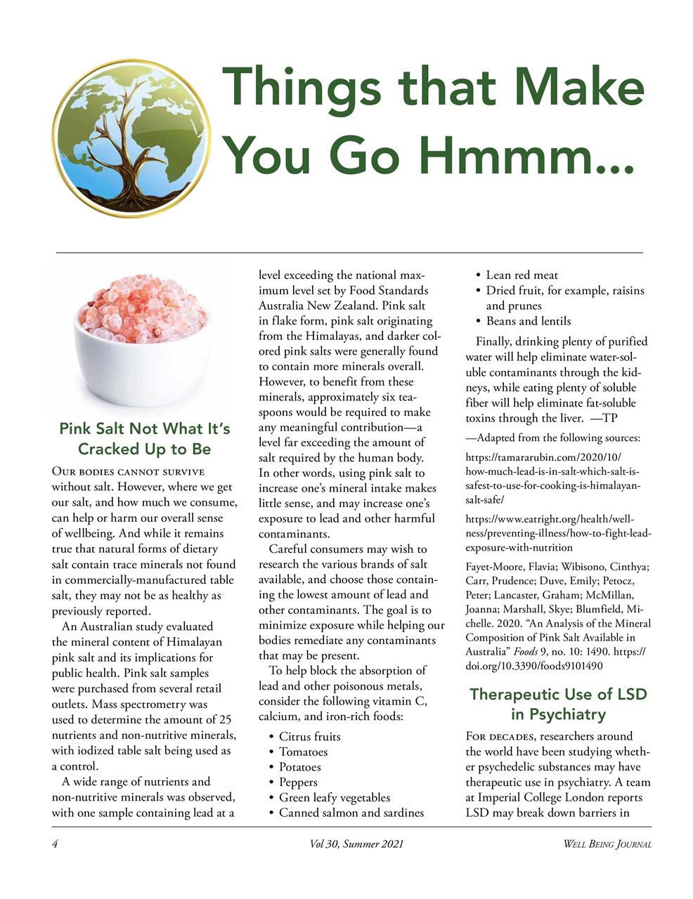 Well Being Journal Preview Pages