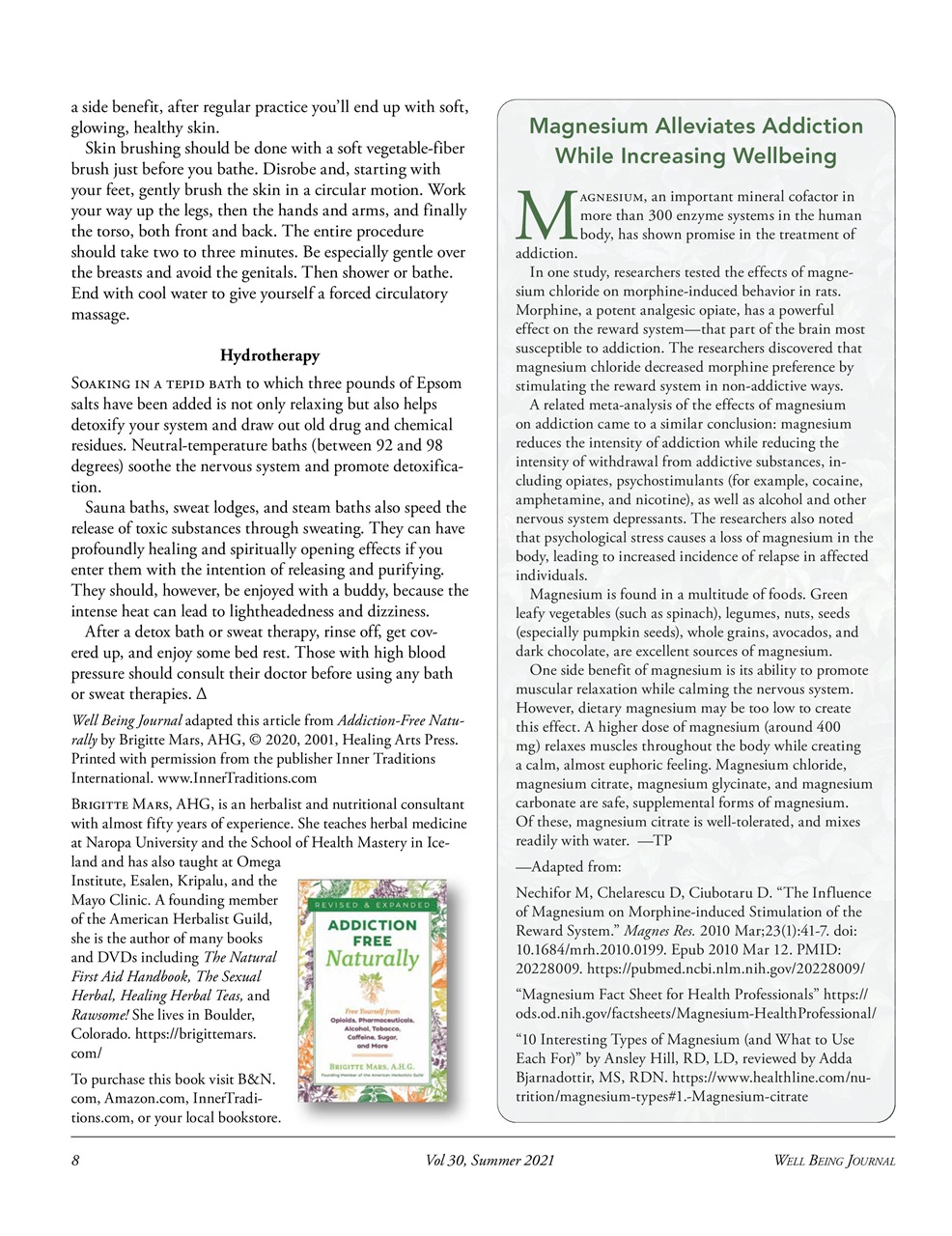 Well Being Journal Preview Pages