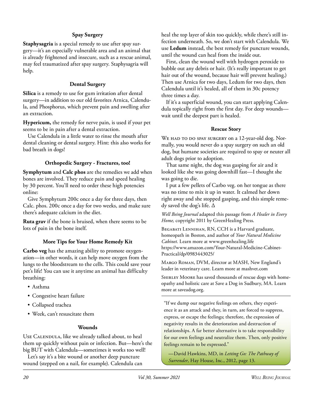 Well Being Journal Preview Pages