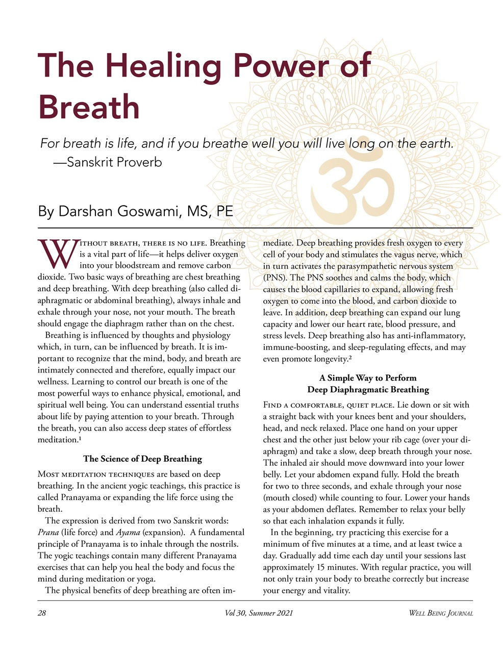 Well Being Journal Preview Pages