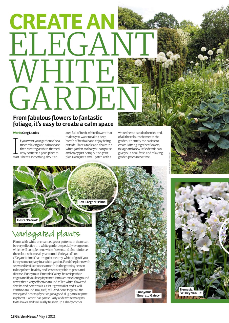 Garden News Preview Pages