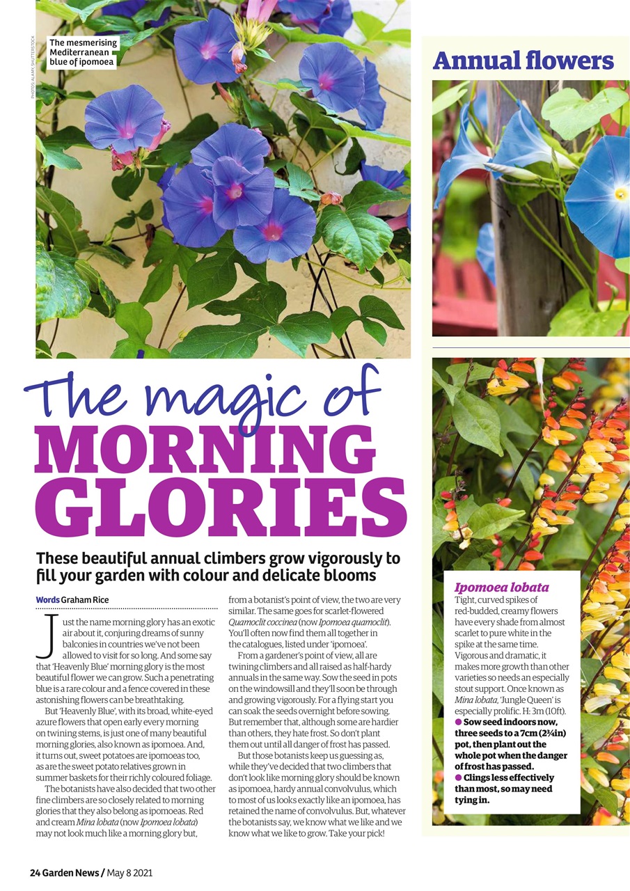 Garden News Preview Pages
