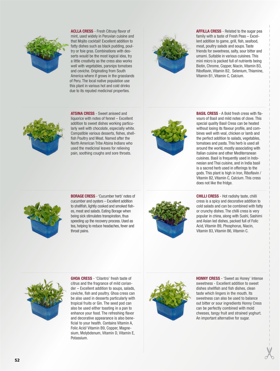 Chef & Restaurant Magazine Preview Pages