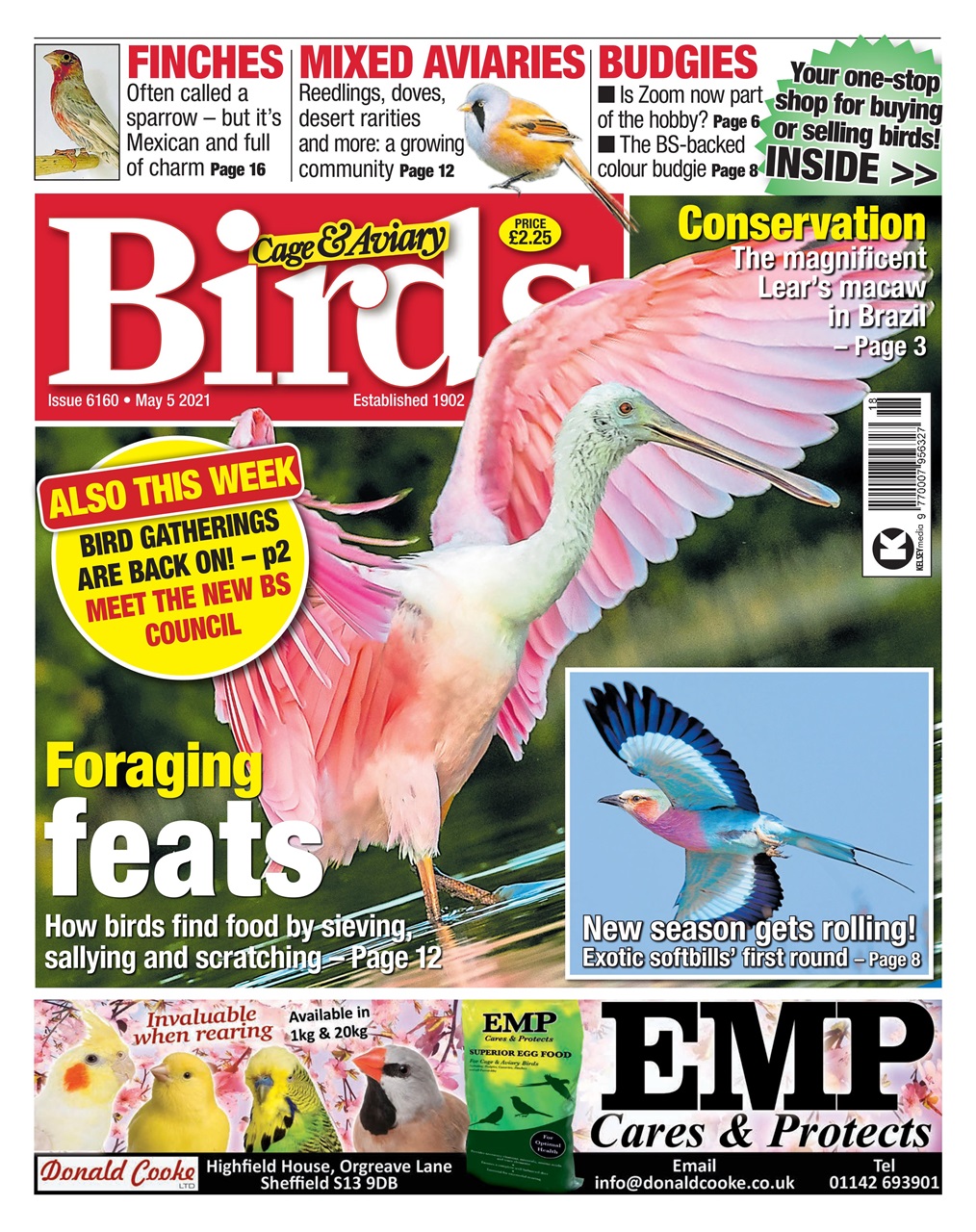 Cage & Aviary Birds Preview Pages