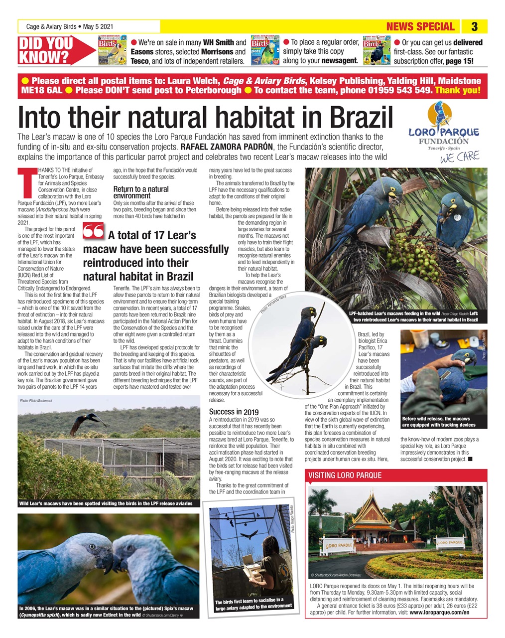 Cage & Aviary Birds Preview Pages