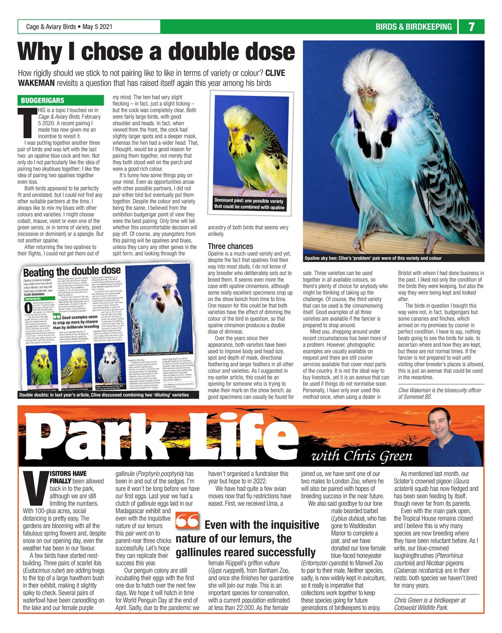 Cage & Aviary Birds Preview Pages