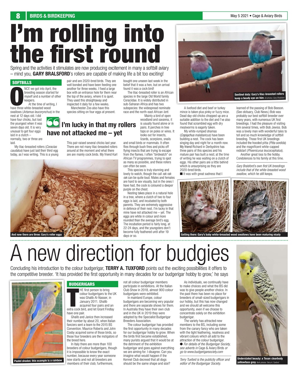 Cage & Aviary Birds Preview Pages