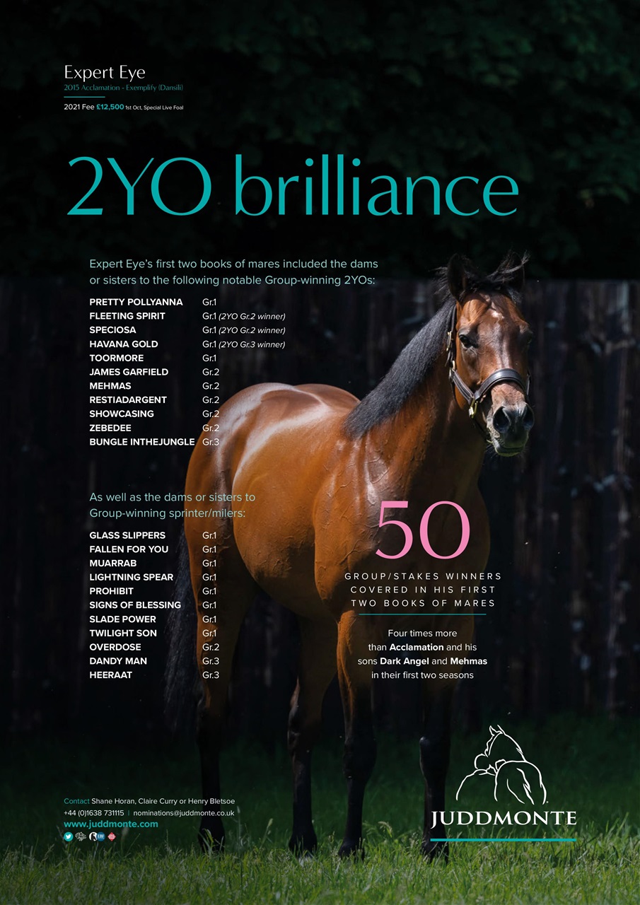 The Owner Breeder Preview Pages
