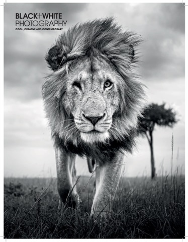 Black+White Photography issue Issue 252
