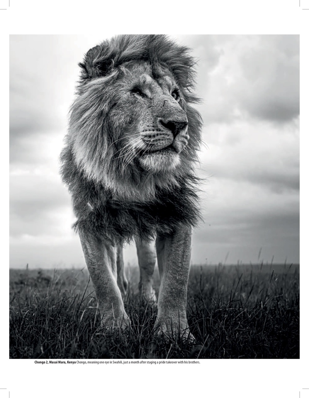 Black+White Photography Preview Pages