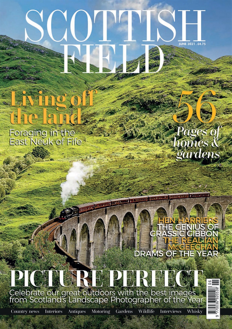 Scottish Field Preview Pages