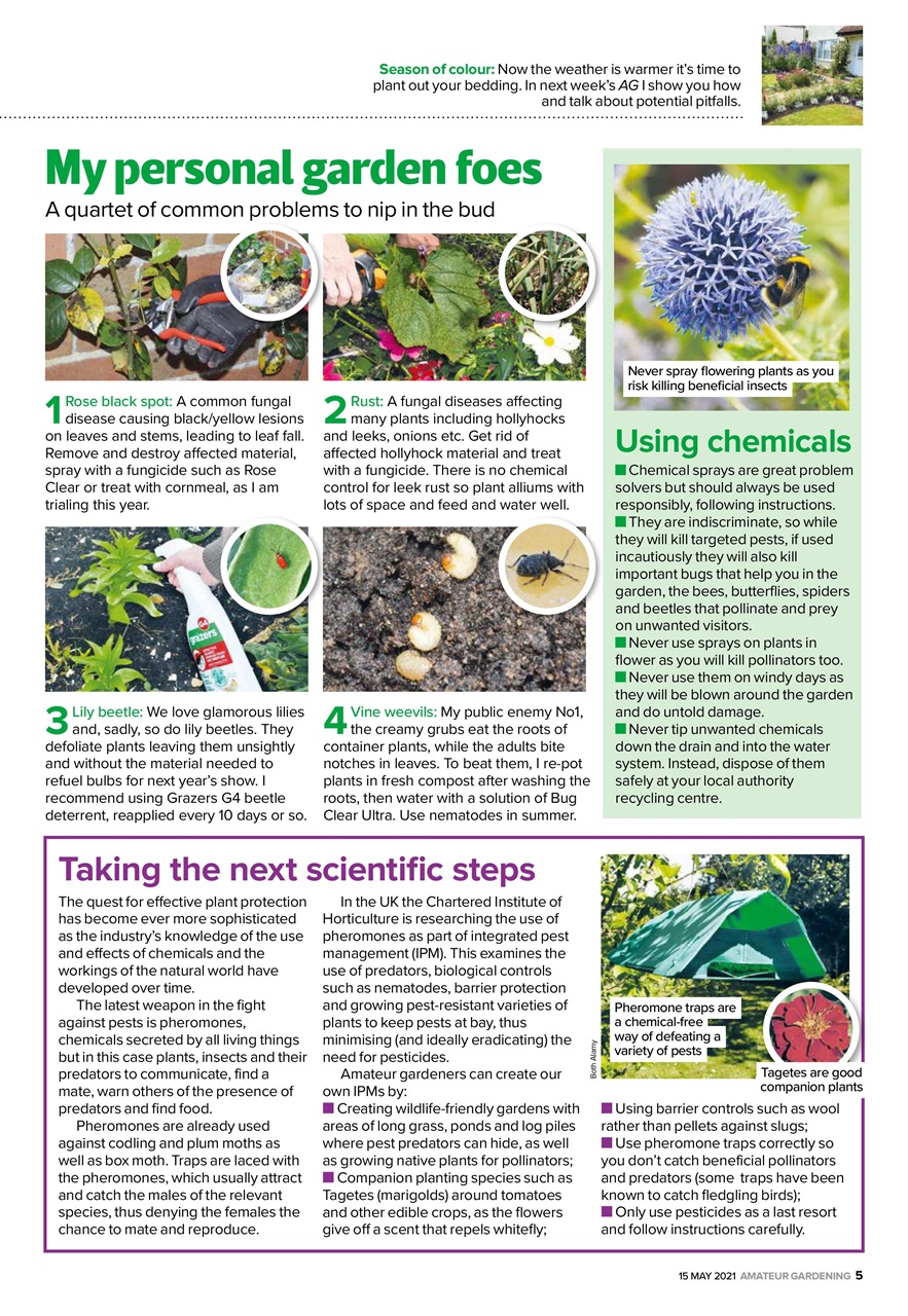 Amateur Gardening Preview Pages