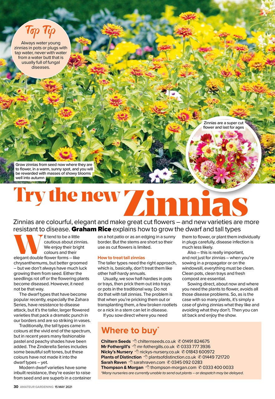 Amateur Gardening Preview Pages