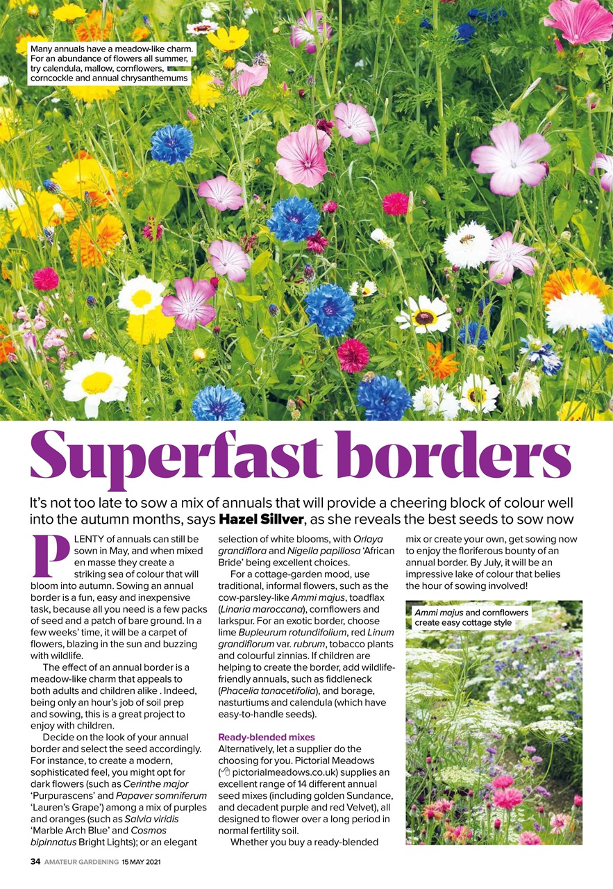 Amateur Gardening Preview Pages