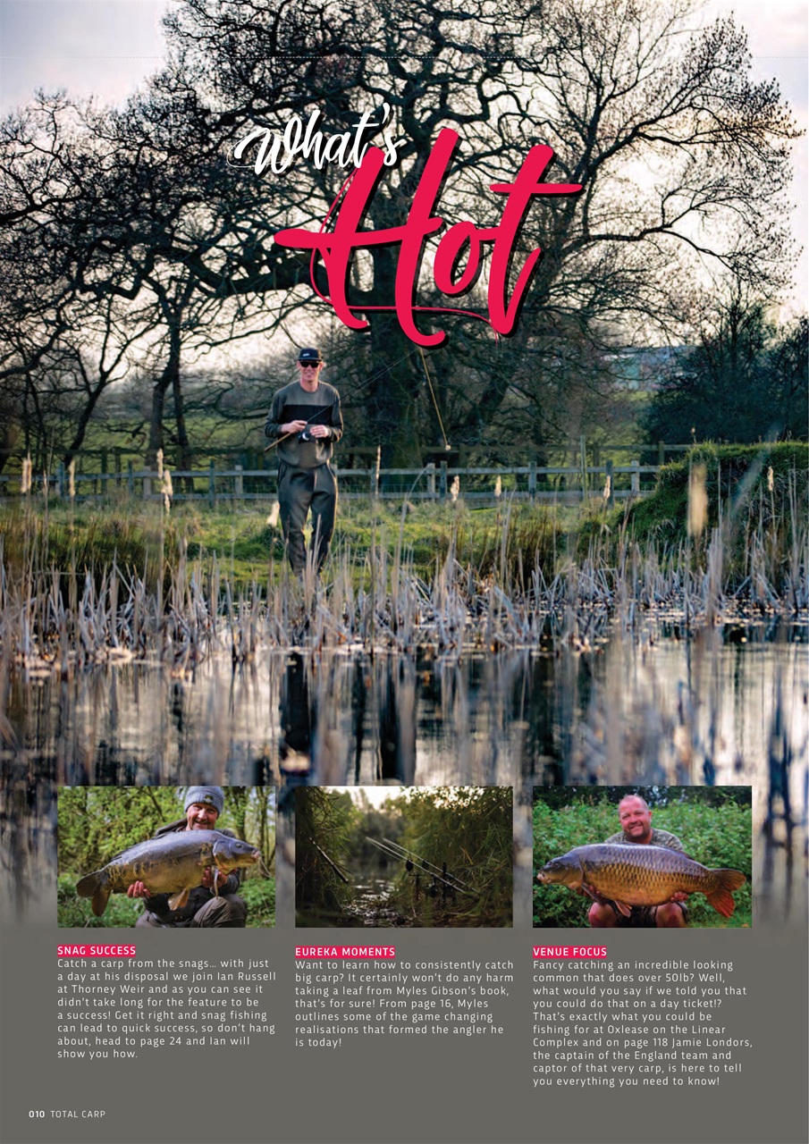 Total Carp Preview Pages