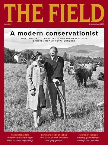 The Field issue Jun-2021