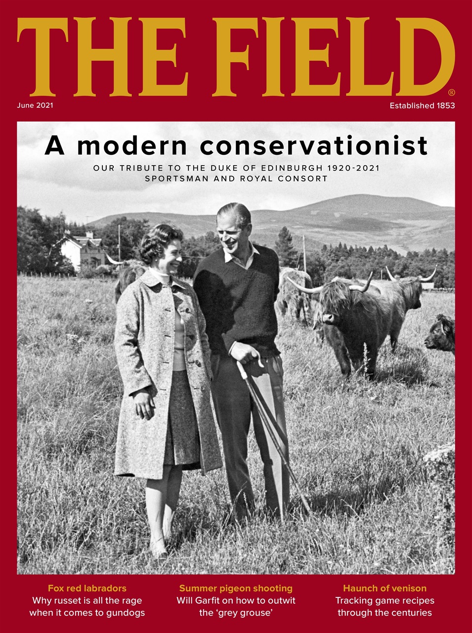 The Field Preview Pages