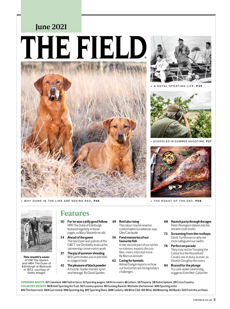 The Field Preview Pages