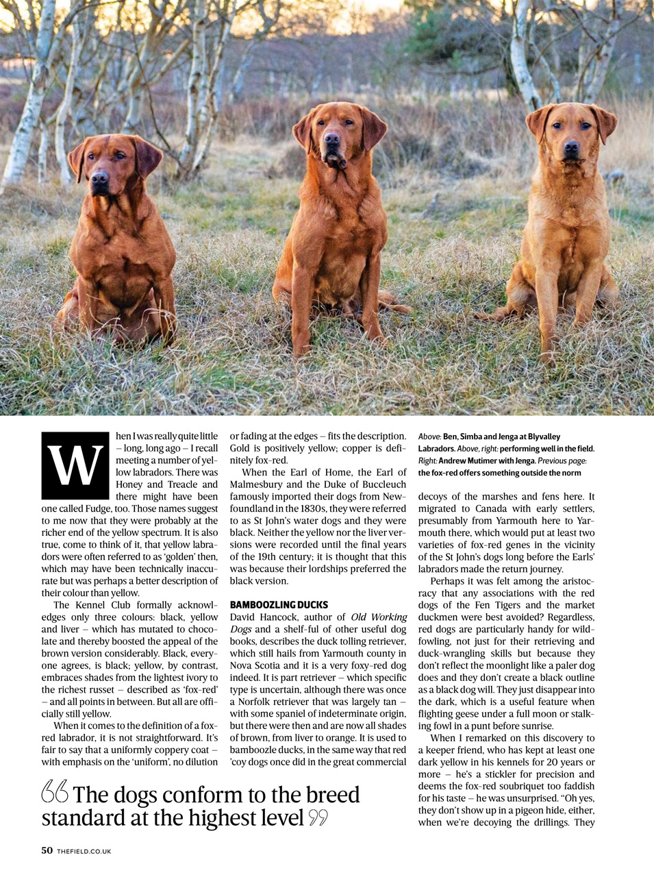 The Field Preview Pages