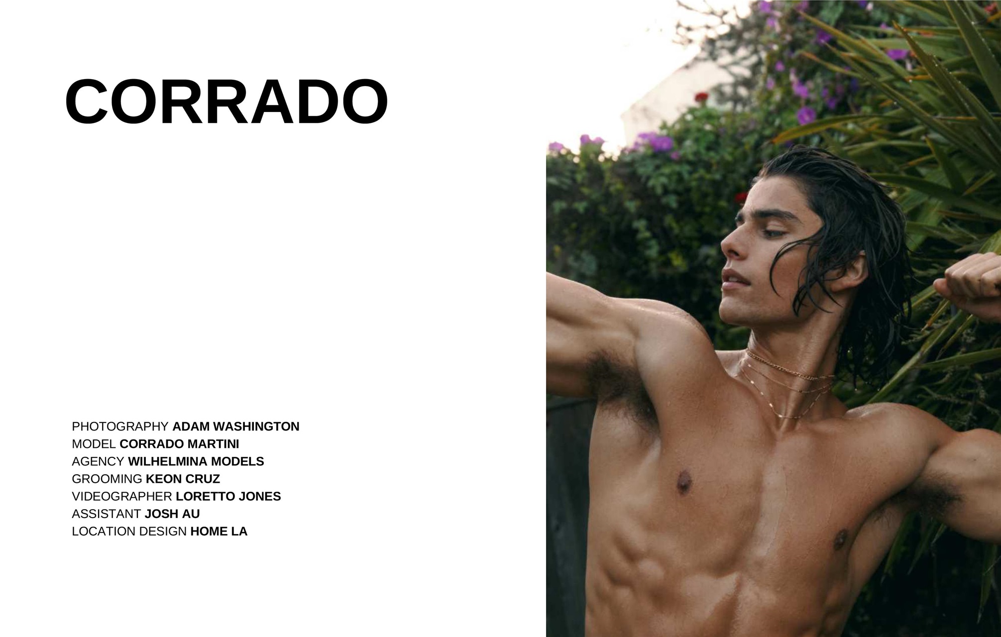 Lewis Magazine Preview Pages